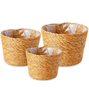 Kit Com 3 Vasos Algodão Natural Trio Cachepot Fibra Natural Estilo Vime Decorativo Flores Plantas